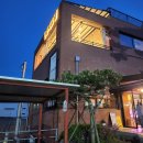 안씨고집 이미지