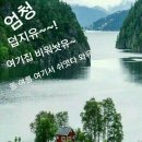 요즘 바다낚시 보리멸이 숭어 고등어등 오늘도 즐겁고 신나고 행복하고 아름다운날 행운의날 되세요~~ 이미지