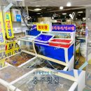마산-중앙-중앙센터-12 | 속초중앙시장 회센터 충주횟집 늦게까지 하는 집, 속초 회 포장 후기