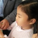 도하초등학교 이미지