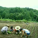 여름지기 - 봉화군 공세동길 86 | 여름지기