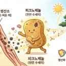기분좋은온누리약국 네이버블로그