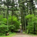 장성 축령산 (옥외4) 이미지