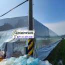 알파크린 이미지