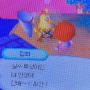 비비펫미용 | 2025 5월 일상 두번째 모음.zip+메가주 일산 펫페어 후기