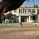 이레홍삼