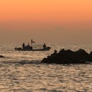 아침바다 이미지