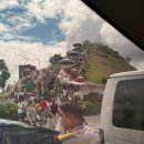 아이갤러리안경 | 보홀 셋째날 초콜릿힐, 안경원숭이