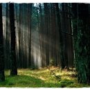 한강서울치과의원 이미지