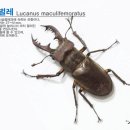 쉬자파크 이미지