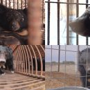 웅담2농장 이미지