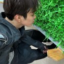 제임스본죽 | 쩔쩔 매지 말고 어쩔 어쩔로 사세요