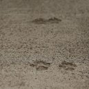 미덕상회 이미지