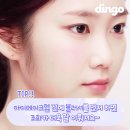 마이딩고 이미지