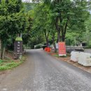 털보민박 이미지