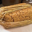 뇌졸중의 예방과 치료 이미지