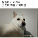 정신