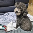 포유 행정사 사무소 이미지