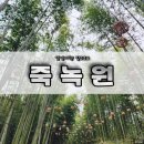 대나무공원 화장실 | <담양 죽녹원 &amp; 추월당카페> 담양여행, 담양한옥카페 담양 대나무숲 힐링하기