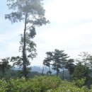 청천버스터미널 이미지