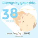 (주)푸름약품 | 임신 38주차 | 출산 전 마지막 정기검진, 분만 상담, 임산부 왁싱, 하루필름 주수사진