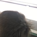 치즈노래연습장 이미지