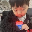 해돋이극장 | 헬로카봇 웰컴투파라다이스 안산문화예술의전당 해돋이극장 후기