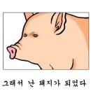 부화룡양꼬치