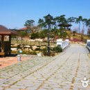 박사펜션 이미지