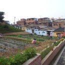 대안마을회관 이미지