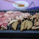 시골오리 이미지