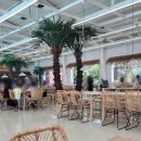 할로하우디(HALO HOWDY) 이미지