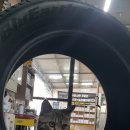 나비카센타 이미지