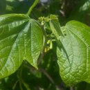 서들농장 이미지