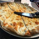 치브레오 이미지