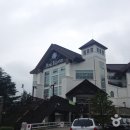 용평리조트용평9골프코스 티스토리