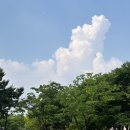 [일상]6월 기록. 시간이 참 빠르다고 느껴졌던 한달