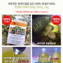 여주-1100 이미지