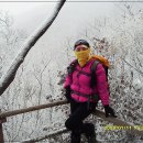 환상의 추억 이미지