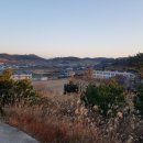 장산 장병준 묘 이미지