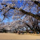 월평초등학교 이미지
