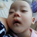 마르멜로스튜디오