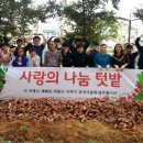 텃밭 수완점 이미지