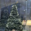 달나라토끼 이미지