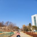 늘솔길공원양떼목장 이미지