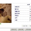 java.lang.NumberFormatException: For input string: "400.0" 부탁드립니다... 이미지