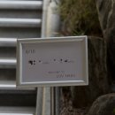 부산 웨딩촬영: luvhaus 루브 하우스 커스텀 스튜디오 웨딩촬영 후기 및 추가금 드레스