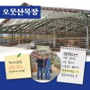 오뭇산목장 이미지