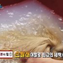 아름다운세탁 이미지