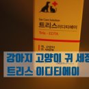 트리스약국 이미지